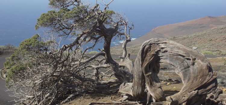 El Hierro : mini île mais elle fait le maximum